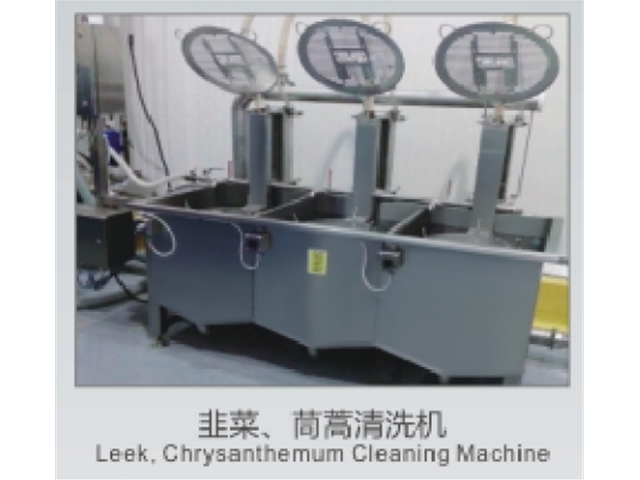韭菜、茼蒿清洗機(jī)